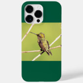 Ruby-Throated Hummingbird Case-Mate iPhone Hülle (Rückseite)