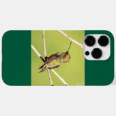 Ruby-Throated Hummingbird Case-Mate iPhone Hülle (Rückseite (Horizontal))