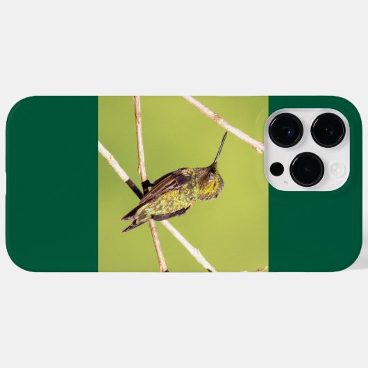 Ruby-Throated Hummingbird Case-Mate iPhone Hülle (Rückseite (Horizontal))