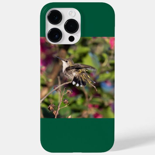 Ruby-Throated Hummingbird Case-Mate iPhone Hülle (Rückseite)