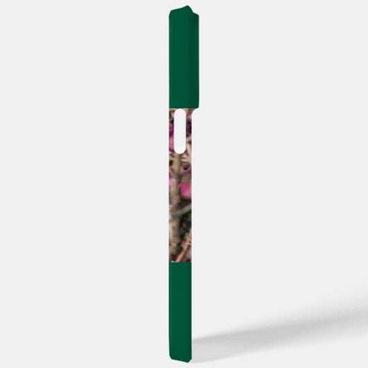 Ruby-Throated Hummingbird Case-Mate iPhone Hülle (Rückseite / Rechts)