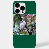 Ruby-Throated Hummingbird Case-Mate iPhone Hülle (Rückseite)