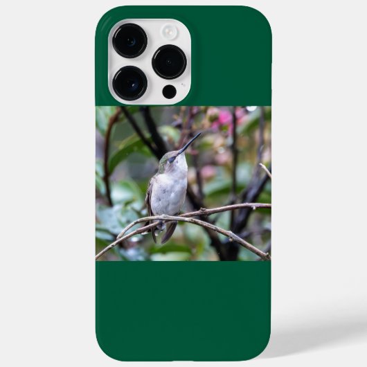 Ruby-Throated Hummingbird Case-Mate iPhone Hülle (Rückseite)