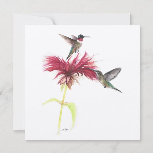 Ruby Throated Hummingbird Couple (Vorderseite)