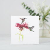 Ruby Throated Hummingbird Couple (Stehend Vorderseite)