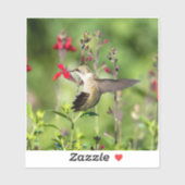 Ruby-Throated Hummingbird Cut Vinyl Aufkleber (Blatt)
