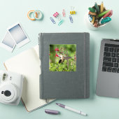 Ruby-Throated Hummingbird Cut Vinyl Aufkleber (iPad Hülle)