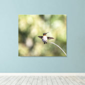Ruby-Throated Hummingbird Design #4Q7A0015 Leinwanddruck (Insitu (Holzboden))