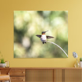 Ruby-Throated Hummingbird Design #4Q7A0015 Leinwanddruck (Insitu (Wohnzimmer))