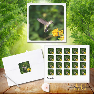 Ruby-Throated Hummingbird erfreut sich Schmetterli Quadratischer Aufkleber