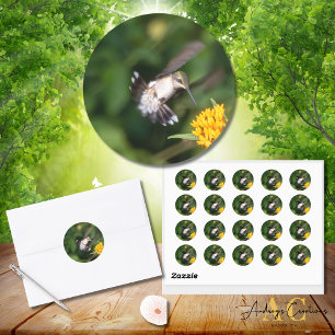 Ruby-Throated Hummingbird erfreut sich Schmetterli Runder Aufkleber