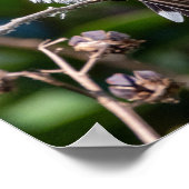 Ruby-Throated Hummingbird Fine Art Photography  Poster (Ecke)