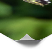 Ruby-Throated Hummingbird Fine Art Photography  Poster (Ecke)
