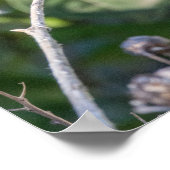 Ruby-Throated Hummingbird Fine Art Photography Poster (Ecke)