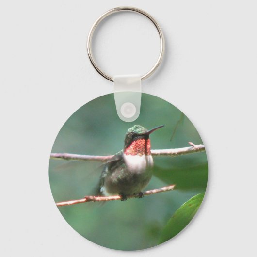 Ruby-throated Hummingbird Flutters Schlüsselanhäng Schlüsselanhänger (Vorderseite)