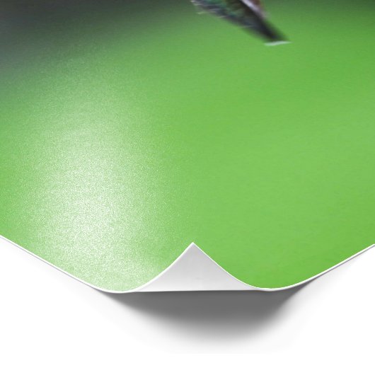 Ruby Throated Hummingbird Fotodruck (Ecke)