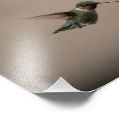 RUBY THROATED HUMMINGBIRD FOTODRUCK (Ecke)
