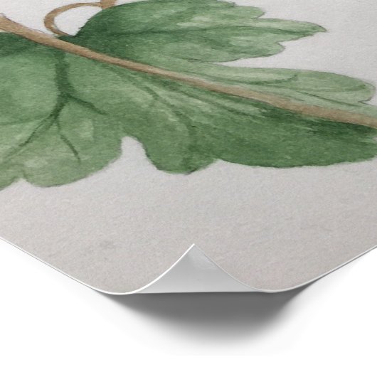 Ruby-throated Hummingbird Garden Poster (Ecke)