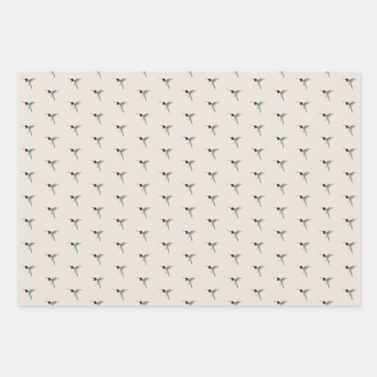 Ruby-throated Hummingbird Geschenkpapier Set (Vorderseite 3)