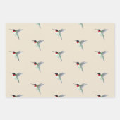 Ruby-throated Hummingbird Geschenkpapier Set (Vorderseite)