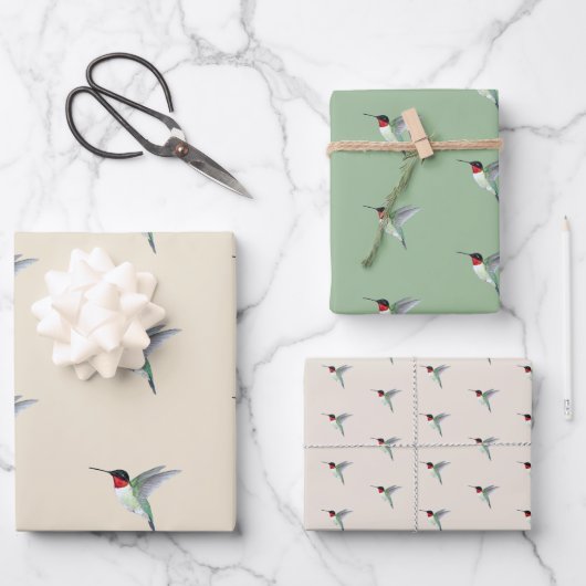 Ruby-throated Hummingbird Geschenkpapier Set (Vorderseite)