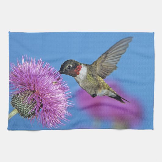 Ruby-throated Hummingbird Geschirrtuch (Horizontal)