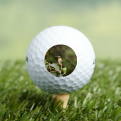 Ruby Throated Hummingbird Golfball (Insitu T-Shirt)