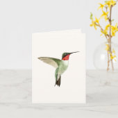 Ruby-throated Hummingbird Greeting Card Karte (Gelbe Blume)