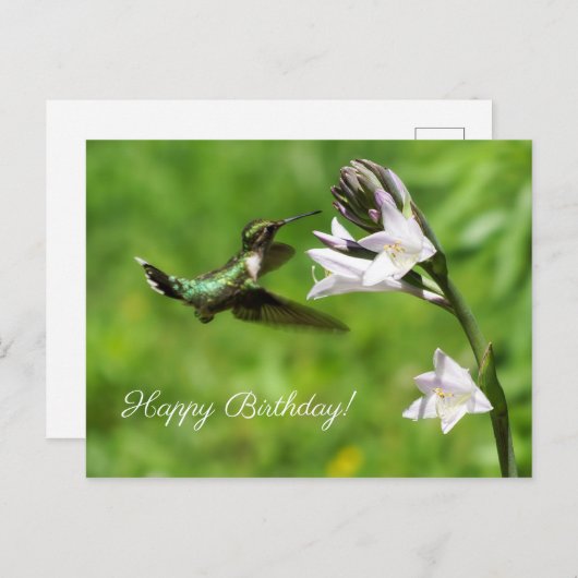 Ruby Throated Hummingbird Happy Birthday Postcard Postkarte (Vorne/Hinten)