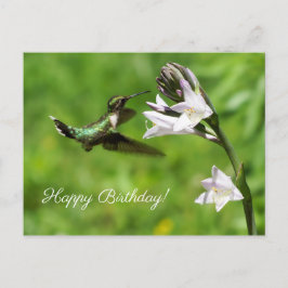 Ruby Throated Hummingbird Happy Birthday Postcard Postkarte
