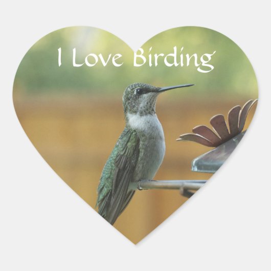 Ruby Throated Hummingbird Herz-Aufkleber (Vorderseite)