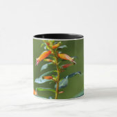 Ruby-Throated Hummingbird "in Cuphea" Tasse (Zentrum)