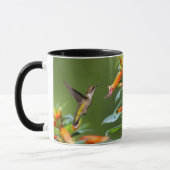 Ruby-Throated Hummingbird "in Cuphea" Tasse (Links)