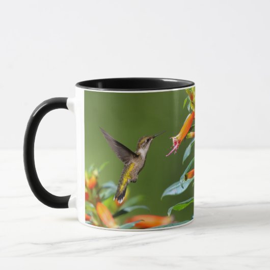 Ruby-Throated Hummingbird "in Cuphea" Tasse (Links)