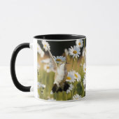 Ruby-Throated Hummingbird "in Daisys" Tasse (Links)