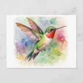 Ruby-throated Hummingbird in Erholung Wasserfarbe Postkarte (Vorderseite)