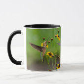 Ruby-Throated Hummingbird "in Plains Coreopsis" Tasse (Links)