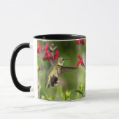 Ruby-Throated Hummingbird "in Radio Red Salvia" Tasse (Links)