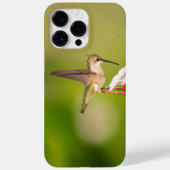 Ruby-Throated Hummingbird IPhone Case #108A0605 (Rückseite)