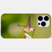 Ruby-Throated Hummingbird IPhone Case #108A0605 (Rückseite (Horizontal))