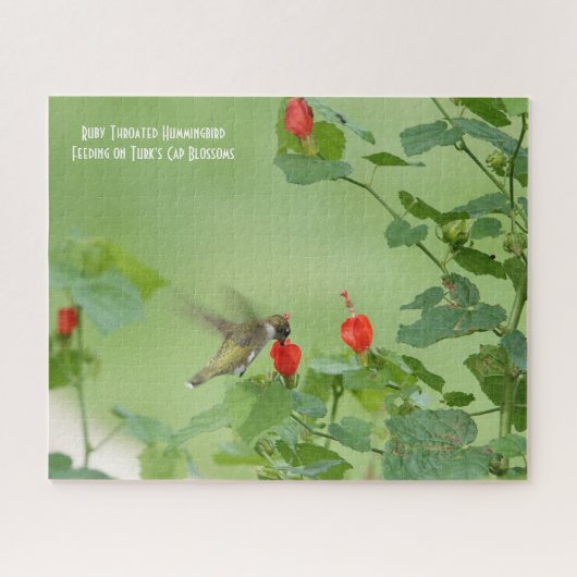 Ruby Throated Hummingbird, Jigsaw Pu, Vogelliebhab Puzzle (Horizontal)