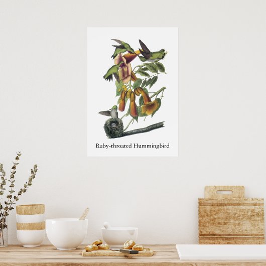 Ruby-throated Hummingbird, John Audubon Poster (Küche)