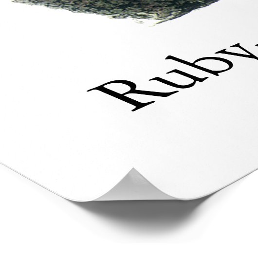 Ruby-throated Hummingbird, John Audubon Poster (Ecke)