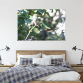 Ruby-Throated Hummingbird Juvenile Male Leinwanddruck (Insitu (Schlafzimmer))