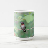 Ruby Throated Hummingbird Kaffeetasse (Mittel)