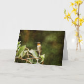 Ruby Throated Hummingbird Karte (Gelbe Blume)