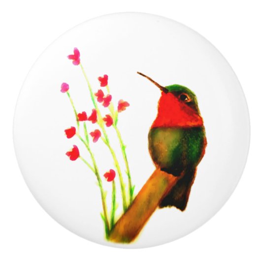 Ruby-Throated Hummingbird Keramikknauf (Vorderseite)