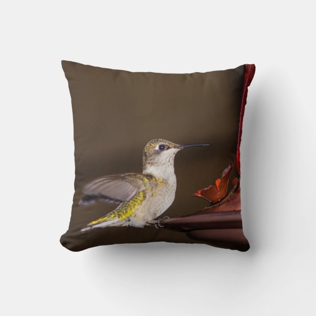 Ruby-throated Hummingbird Kissen (Vorderseite)