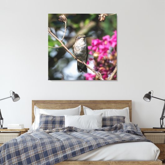 Ruby-Throated Hummingbird Leinwanddruck (Insitu (Schlafzimmer))