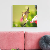 Ruby-Throated Hummingbird Leinwanddruck (Insitu (Wohnzimmer))